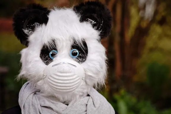 קזינו הוט ליין תמיכה